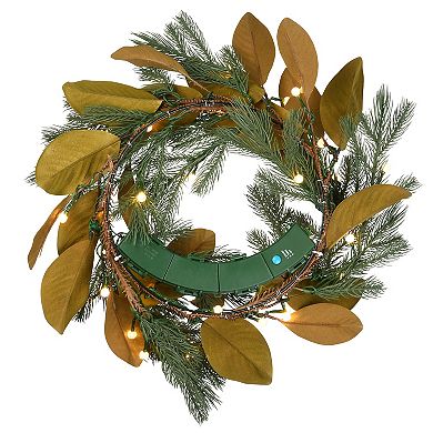 National Tree Company LED Artificial Magnolia Pine Wreath