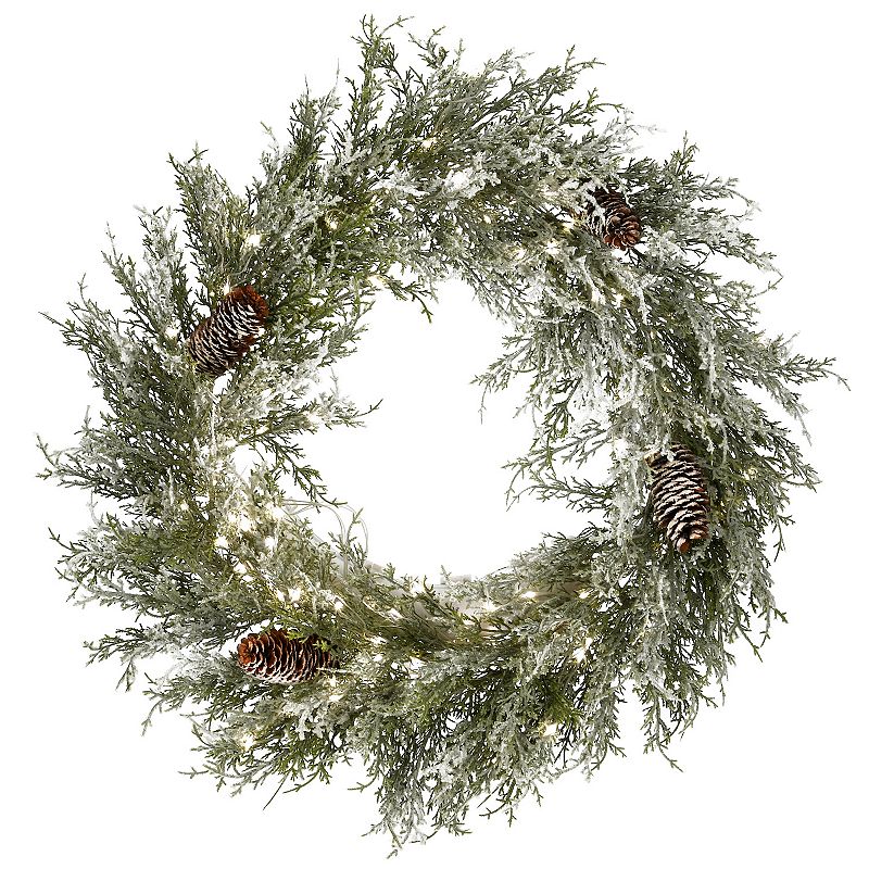 National Tree Company Pre-Lit Snowy Artificial Christmas Wreath, Green