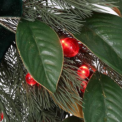 National Tree Company LED Artificial Magnolia Mix Pine Wreath