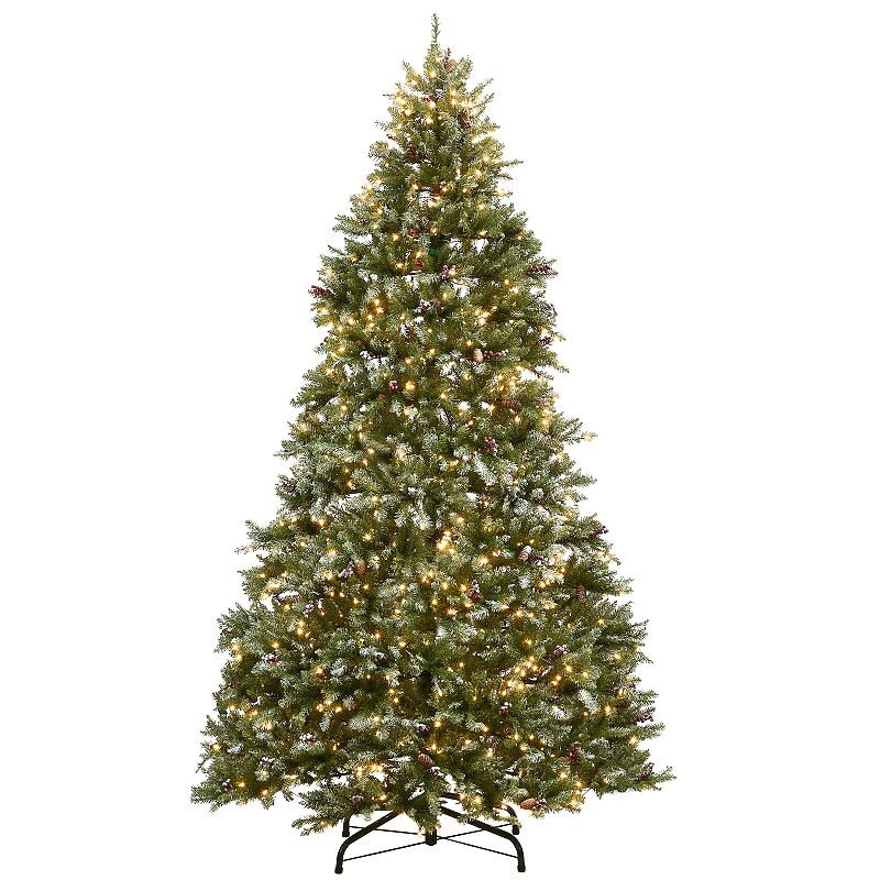 National Tree Company 9 ft. Dunhill® Fir Tree with Clear Lights