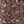 Dusty Rose Floral