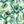 White Green Multi
