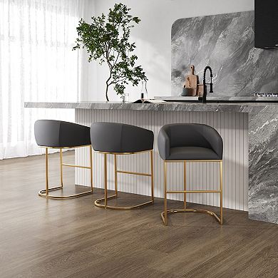 MANHATTAN COMFORT Louvre Bar Stool