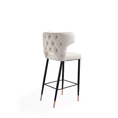 MANHATTAN COMFORT Holguin Bar Stool 2-piece Set