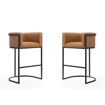 MANHATTAN COMFORT Cosmopolitan Bar Stool 2 pc Set