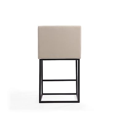 MANHATTAN COMFORT Ambassador Counter Stool 2-piece Set