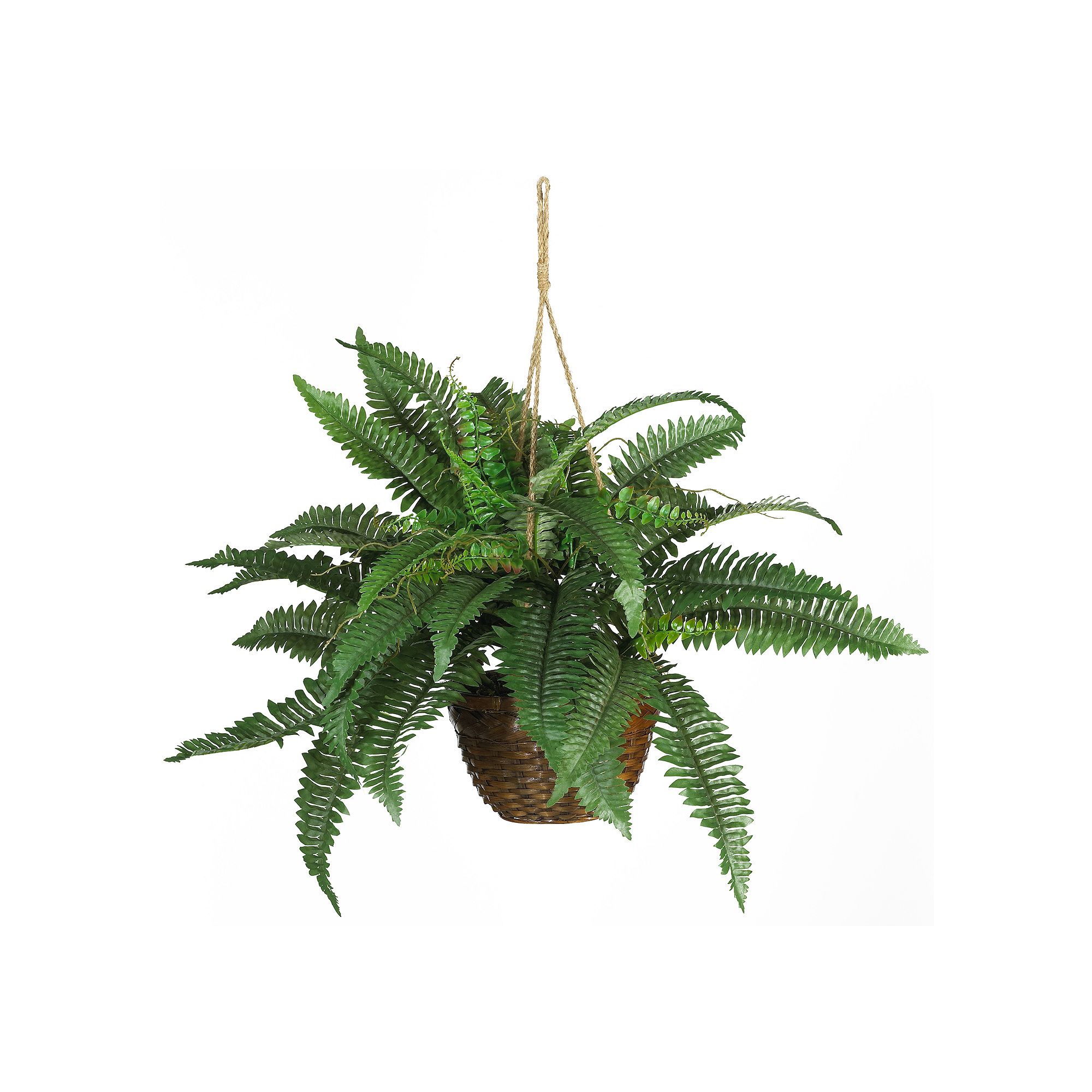 nearly natural Hanging Silk Boston Fern Plant, Multicolor