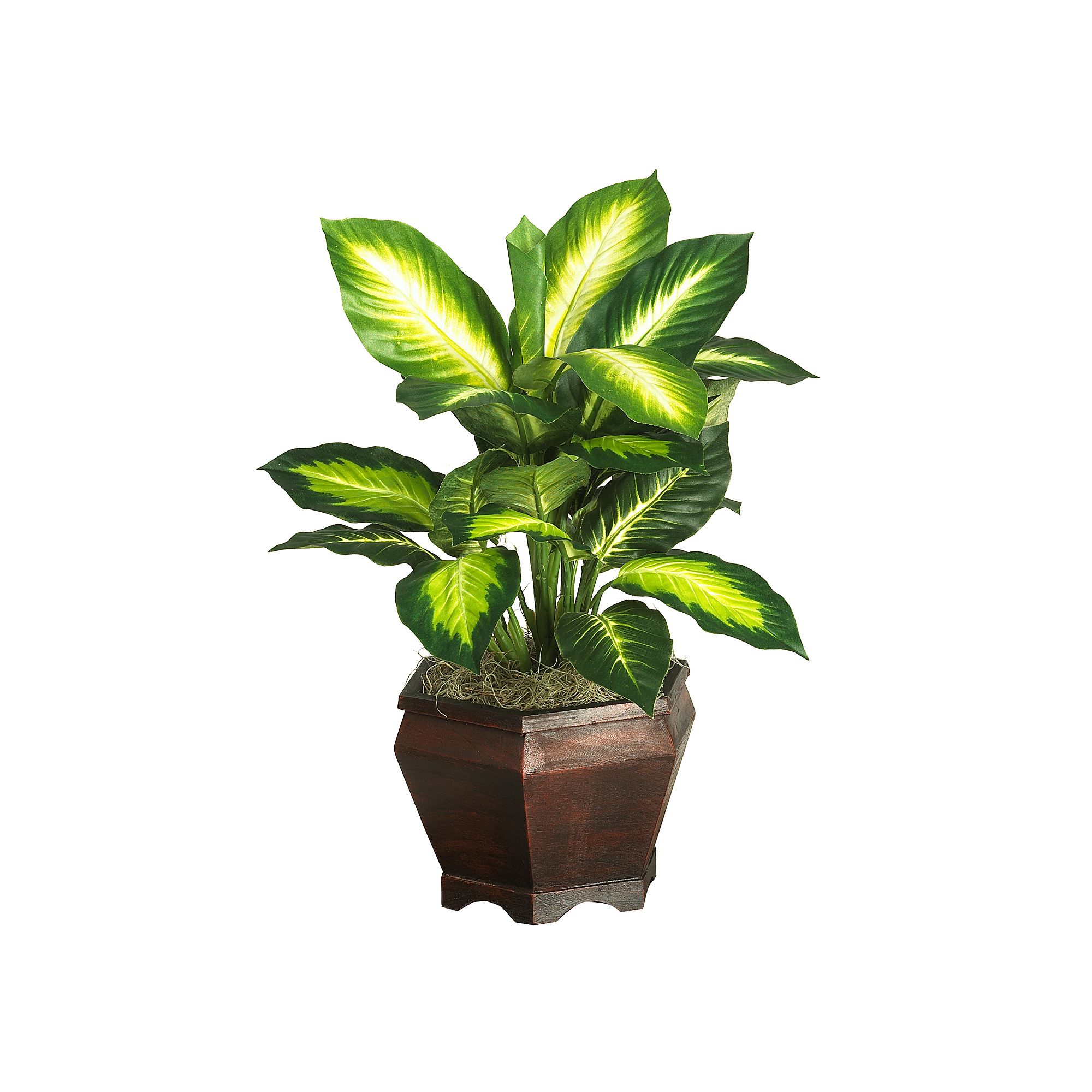 nearly natural Silk Golden Dieffenbachia Plant in a Hexagonal Planter, Mult