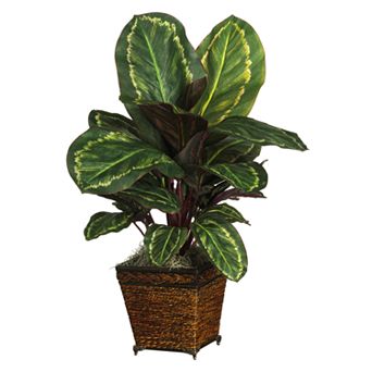 nearly natural Silk Maranta Plant in a Wicker Basket