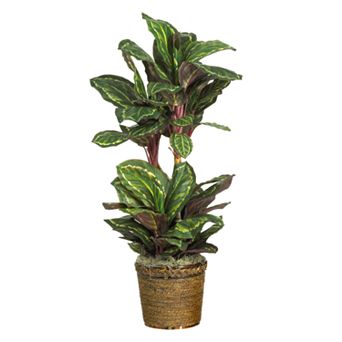 nearly natural Silk Maranta Plant in a Round Wicker Basket