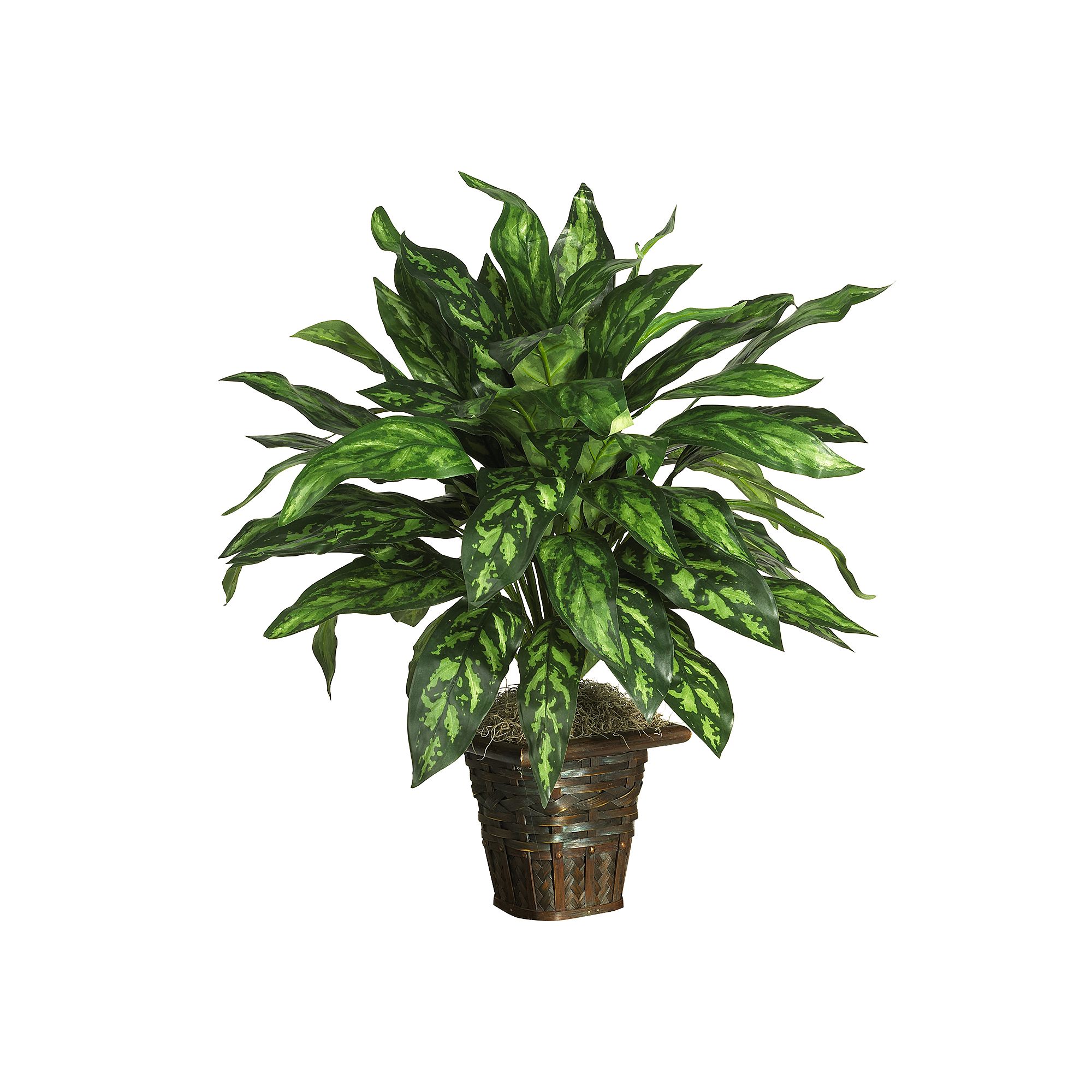 nearly natural Silk Silver King Plant in a Wicker Basket, Multicolor