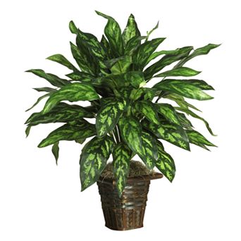 nearly natural Silk Silver King Plant in a Wicker Basket