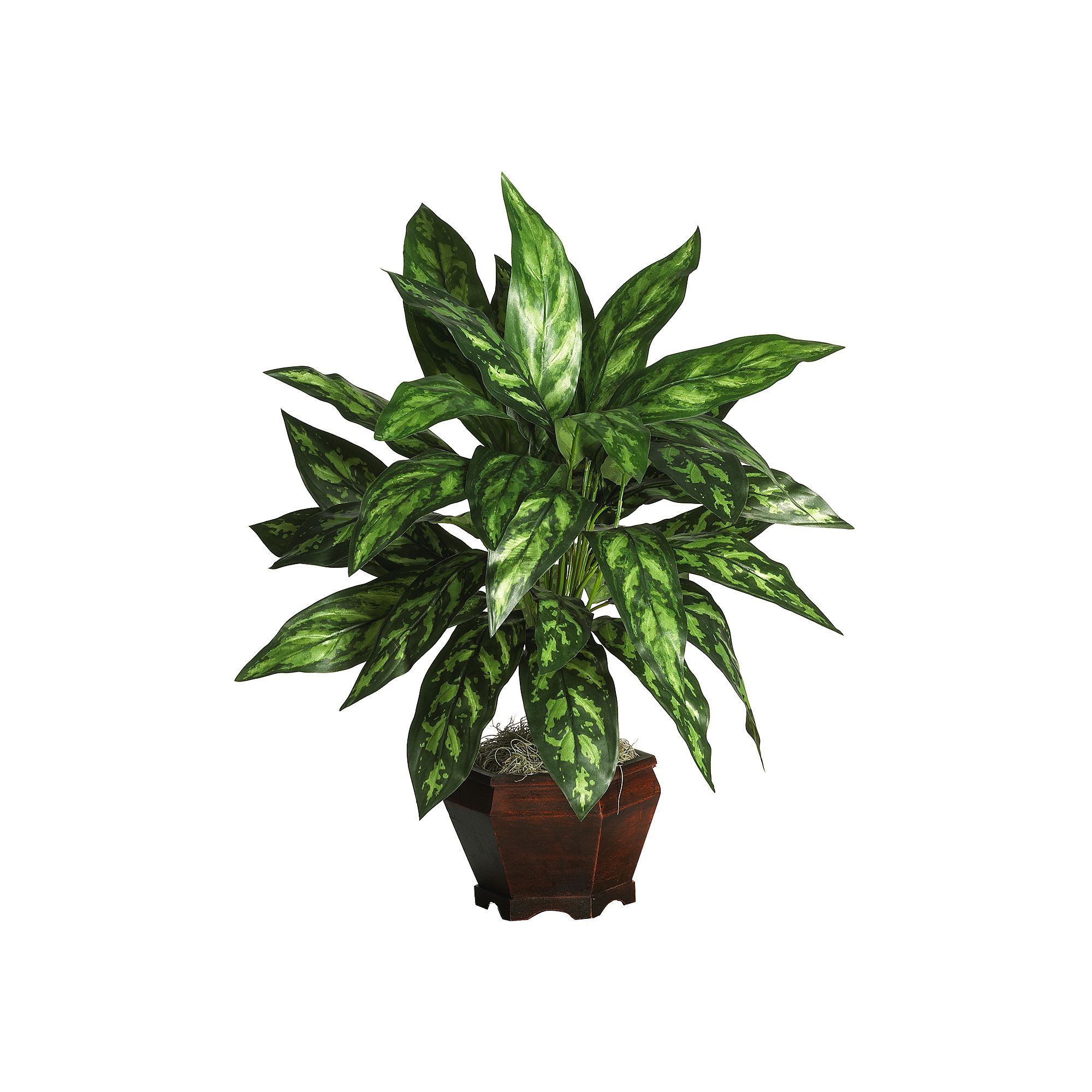 nearly natural Silk Silver King Plant in a Wooden Planter, Multicolor