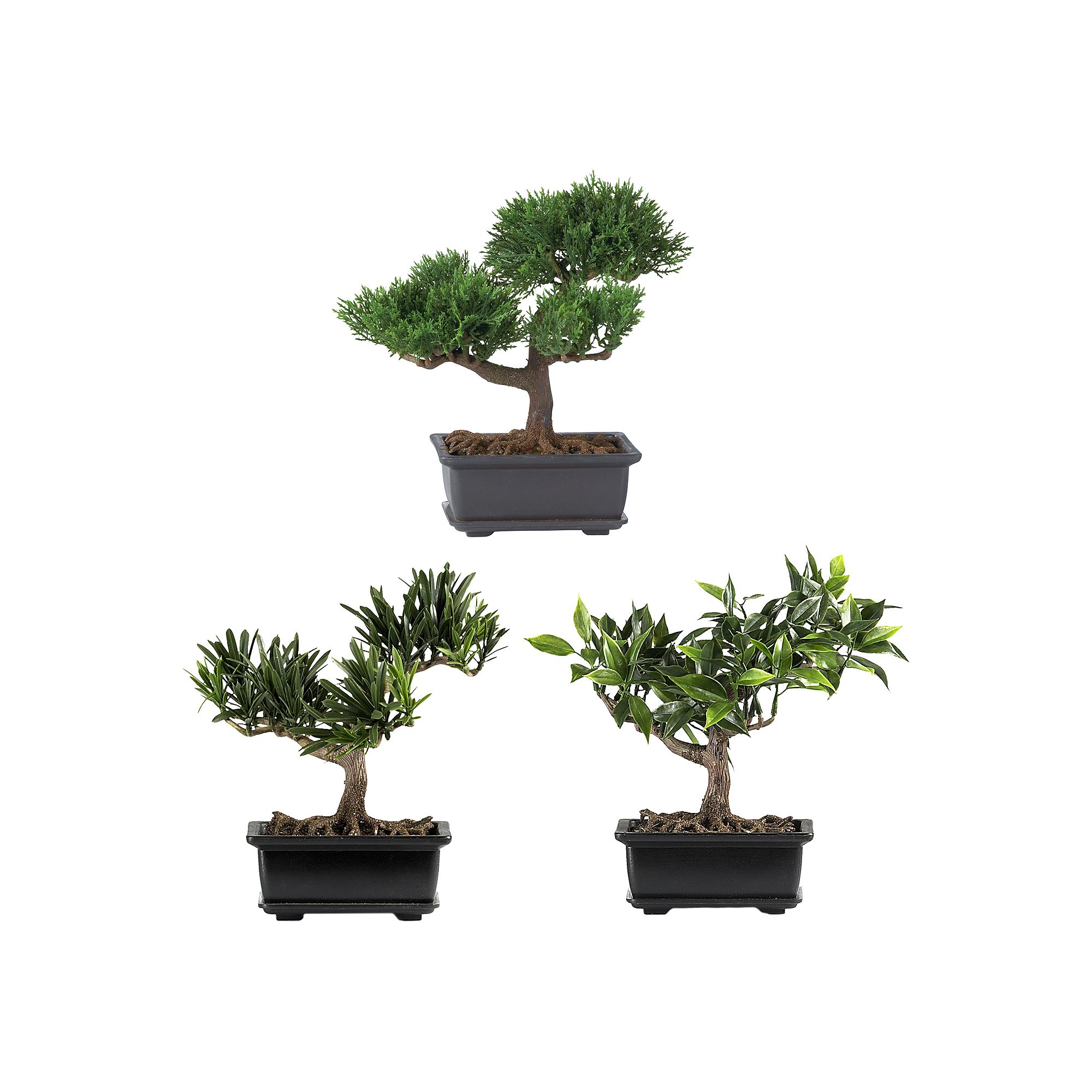 nearly natural 3-pc. Silk Assorted Bonsai Tree Set, Multicolor