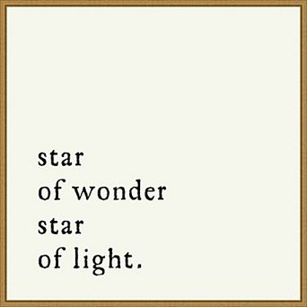 Amanti Art Star Of Wonder Framed Canvas Wall Art