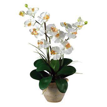 nearly natural Silk Phalaenopsis Orchid Arrangement