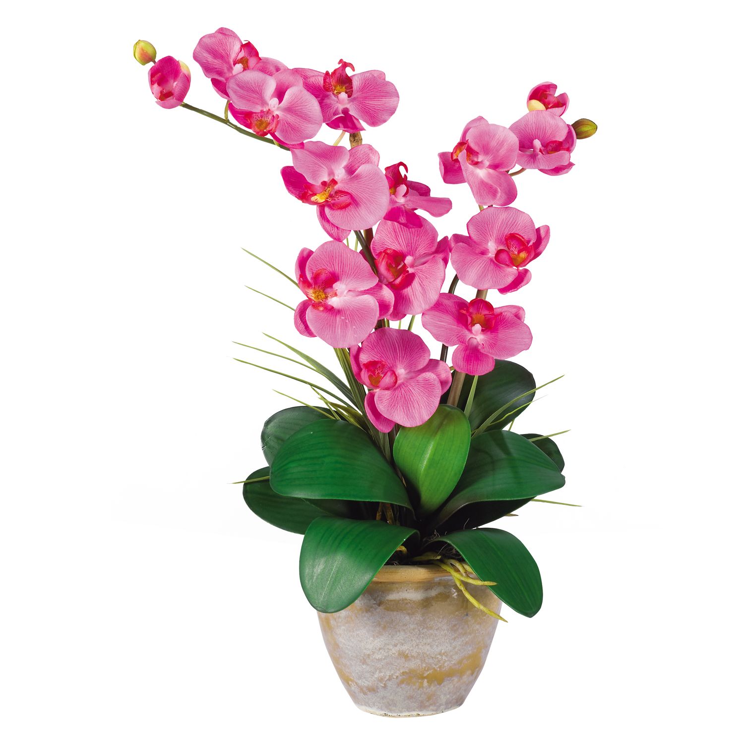 Nearly Natural Silk Phalaenopsis Orchid Arrangement