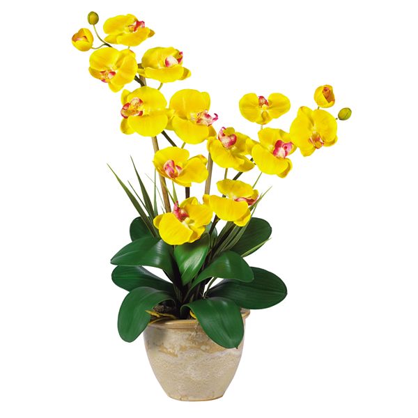 Nearly Natural Silk Phalaenopsis Orchid Arrangement