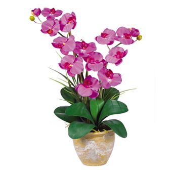 nearly natural Silk Phalaenopsis Orchid Arrangement