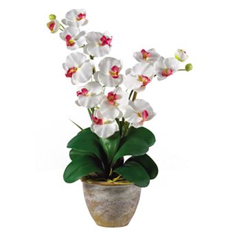 nearly natural Silk Phalaenopsis Orchid Arrangement