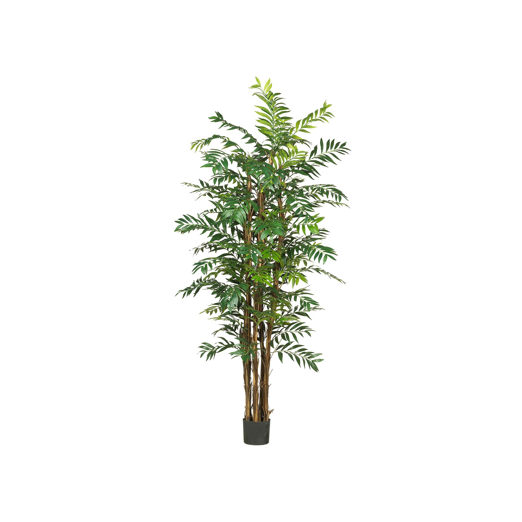 nearly natural Silk Bamboo Palm Tree, Multicolor