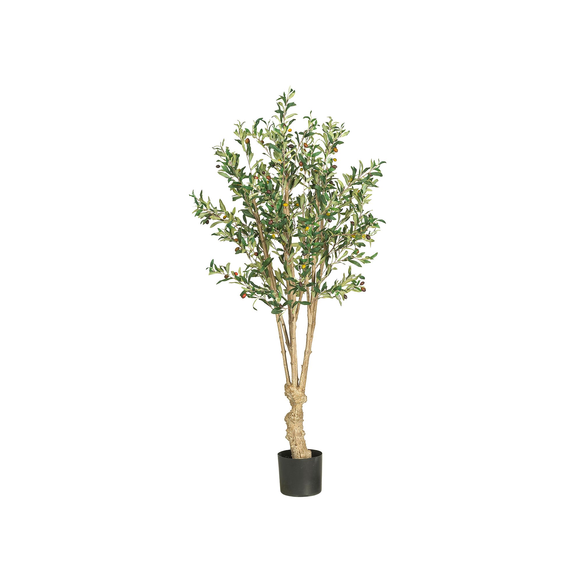 nearly natural Silk Olive Tree, Multicolor