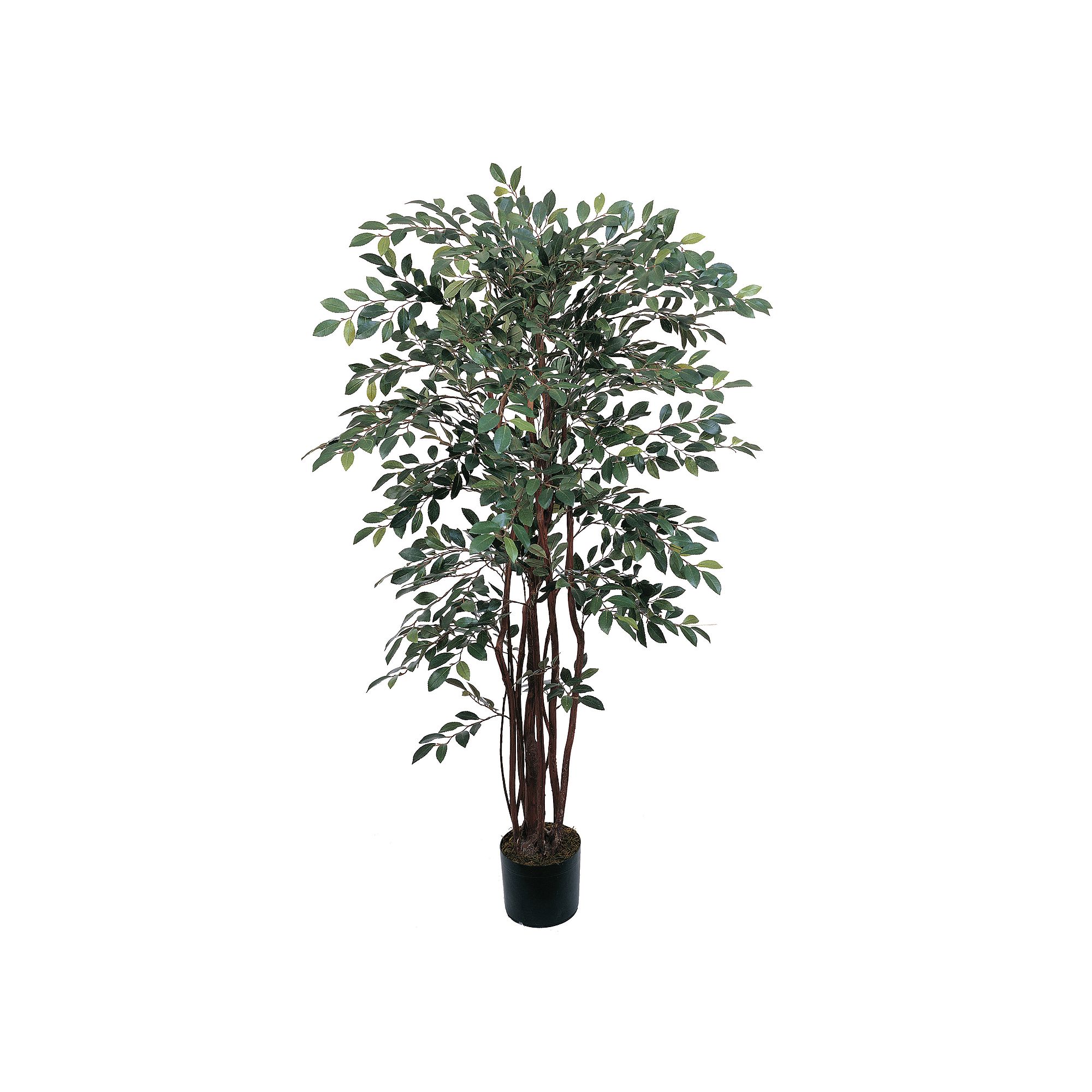 nearly natural Silk Ruscus Tree, Multicolor