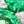 Sterling Silver Green