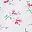Ballet Bows Pink