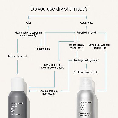 Perfect hair Day (PhD) Advanced Clean Dry Shampoo