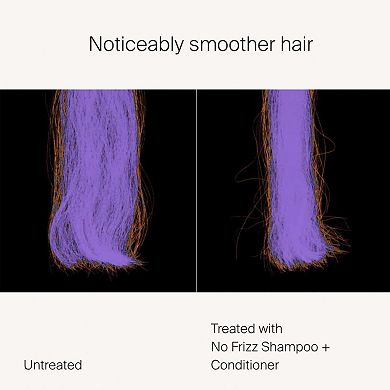 No Frizz Conditioner