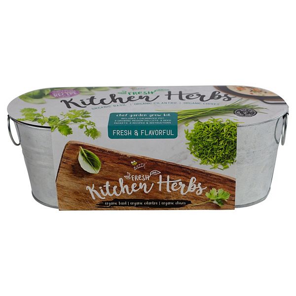 Buzzy Seeds Kitchen Herb Windowsill Grow Kit