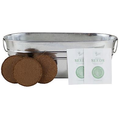 Buzzy Seeds Zen Garden Windowsill Grow Kit