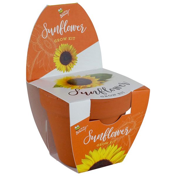 Buzzy Seeds Classic Terra Cotta Sunflower Grow Kit