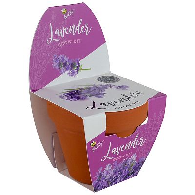 Lavender Classic (7cm) Terra Cotta Grow Kit Lavender Classic (7cm) Terra Cotta Grow Kit