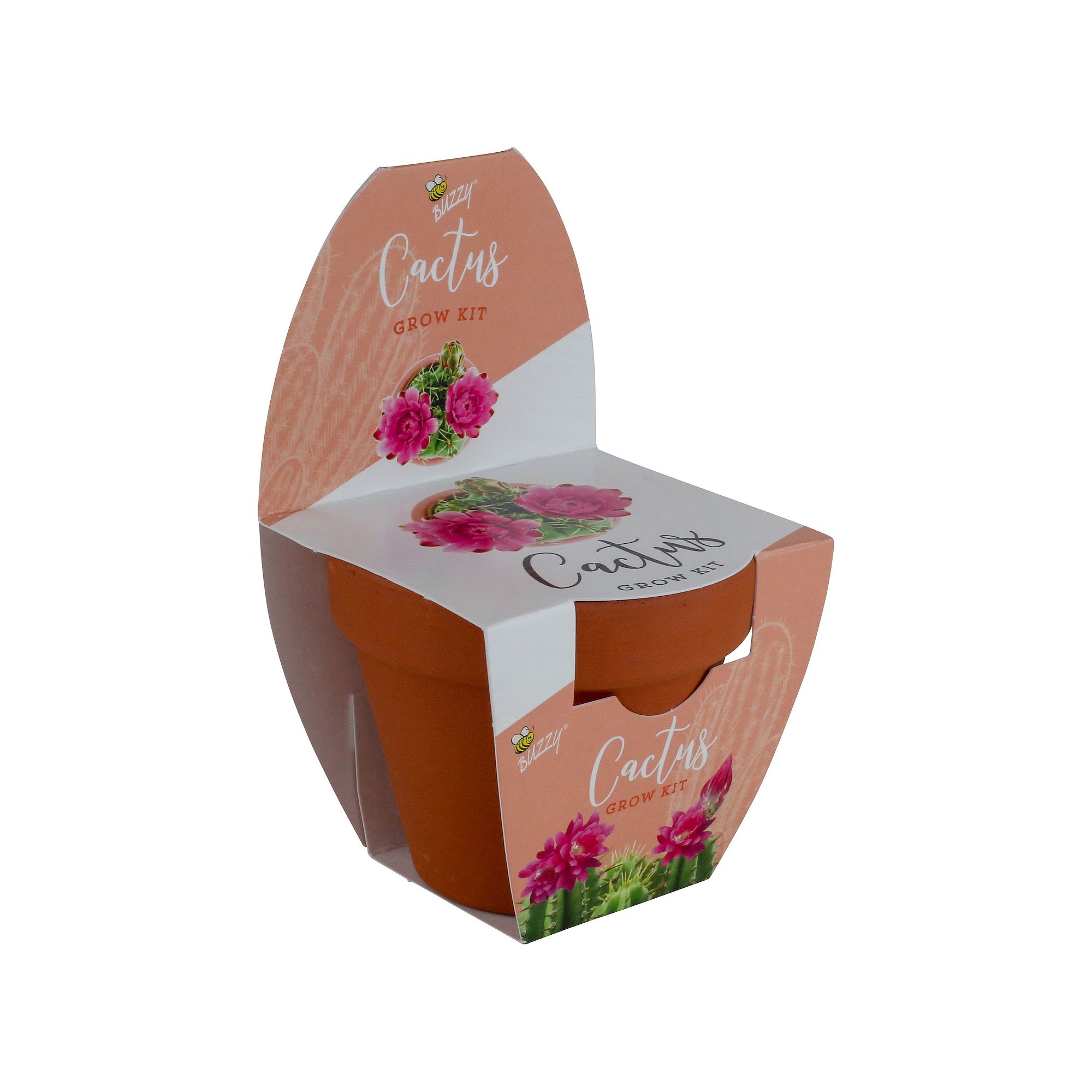 Buzzy Seeds Classic Terra Cotta Cactus Grow Kit