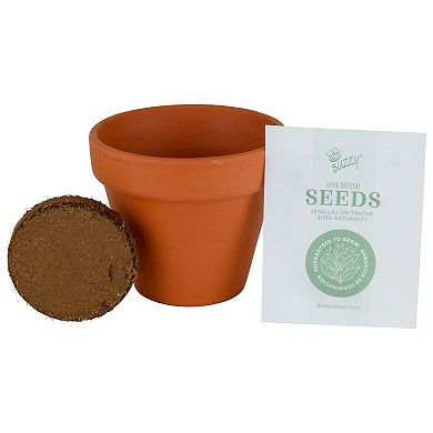 Buzzy Seeds Classic Terra Cotta Cactus Grow Kit