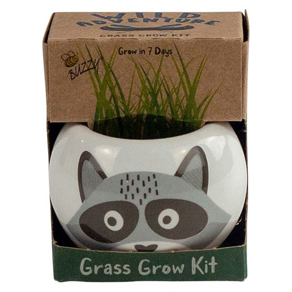 Buzzy Seeds Ceramic Raccoon Grass Grow Kit