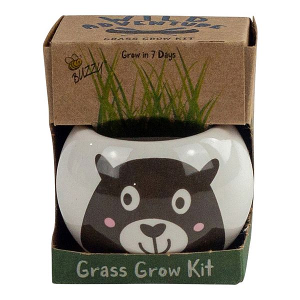 Buzzy Seeds Ceramic Bear Grass Grow Kit