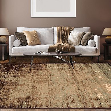 Superior Acid Wash Modern Area Rug