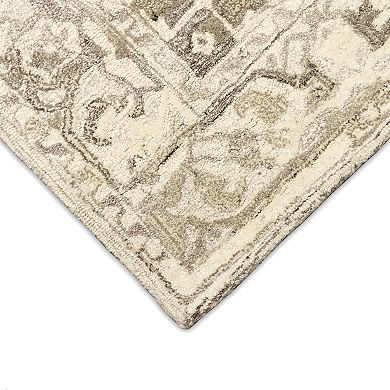 Liora Manne Hana Heriz Rug