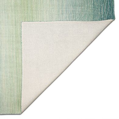 Liora Manne Aruba Ombre Rug Sisal