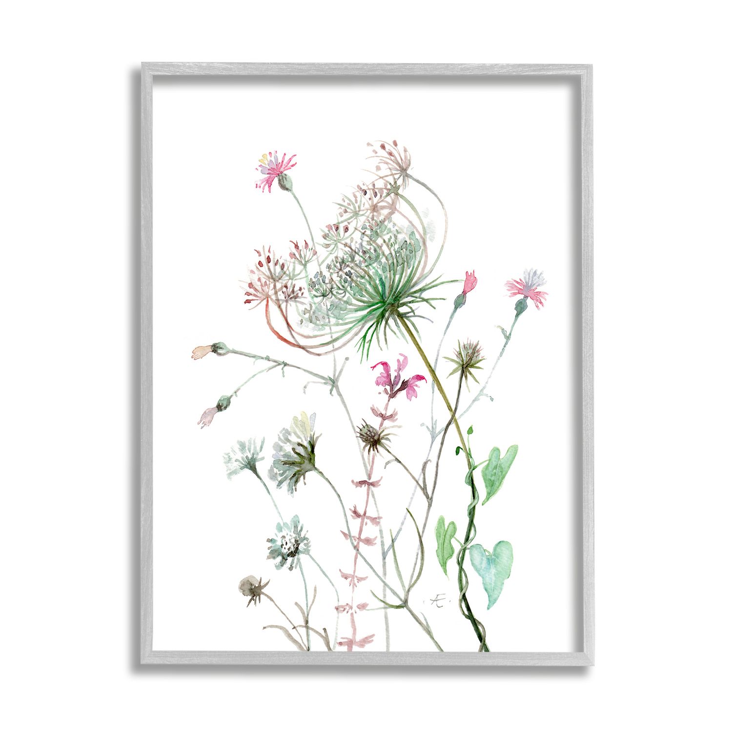 Queen Annes Lace Art Print, Queen Annes Photo, Wild Flowers Photo, Flora  Art Print, Botanical Art Print, Field Flowers Print, Large Wall Art 