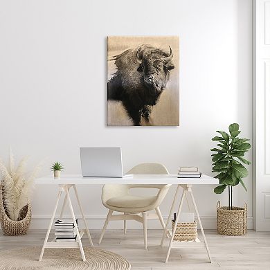 Stupell Home Decor Young Bull Canvas Wall Art