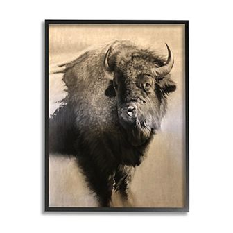 Stupell Home Decor Young Bull Framed Wall Art