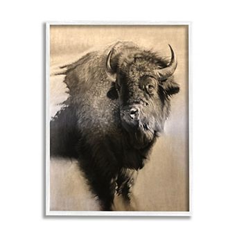 Stupell Home Decor Young Bull Portrait Framed Wall Art