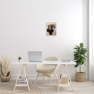 Stupell Home Decor Young Bull Portrait Framed Wall Art