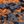 Orange Camo