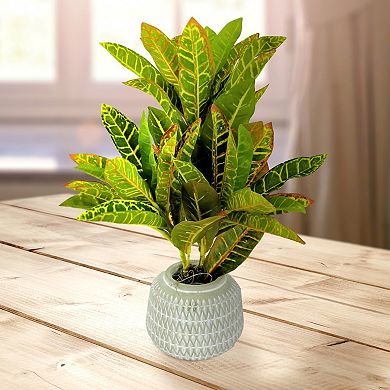 Sonoma Goods For Life Artificial Potted Greenery Floor Decor