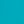Dusty Cactus